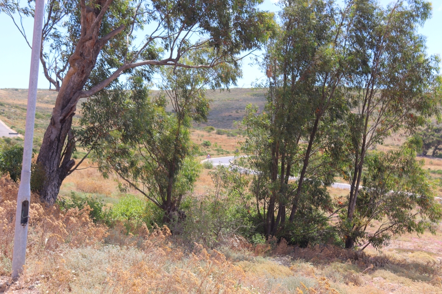 0 Bedroom Property for Sale in St Helena Views Western Cape